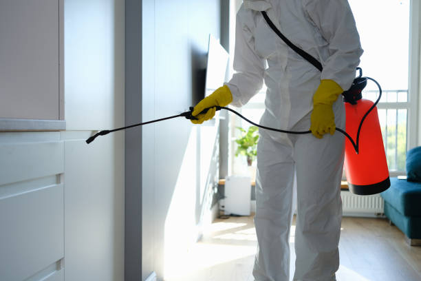 Best Best Mold Removal Companies  in Lyons, KS