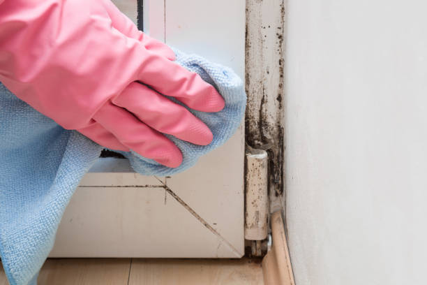 Best Residential Mold Removal  in Lyons, KS