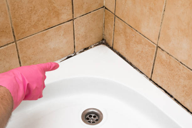 Lyons, KS Mold Removal Company